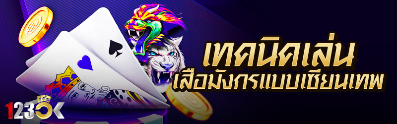 เทคนิคเล่นเสือมังกรแบบเซียนเทพ